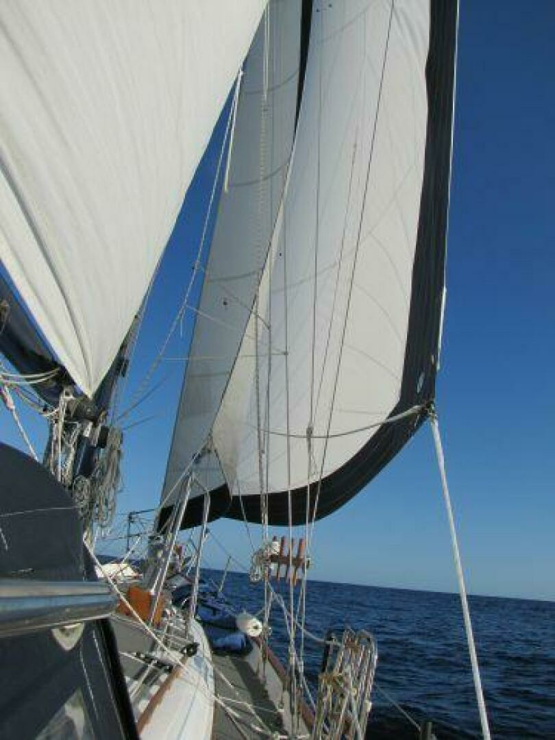 1981 C.E. Ryder Southern Cross 39 - Image 41