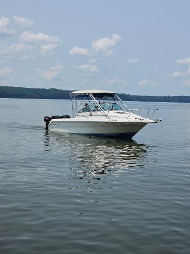 1990 Sea Ray Cutty Cabin Laguna - 6