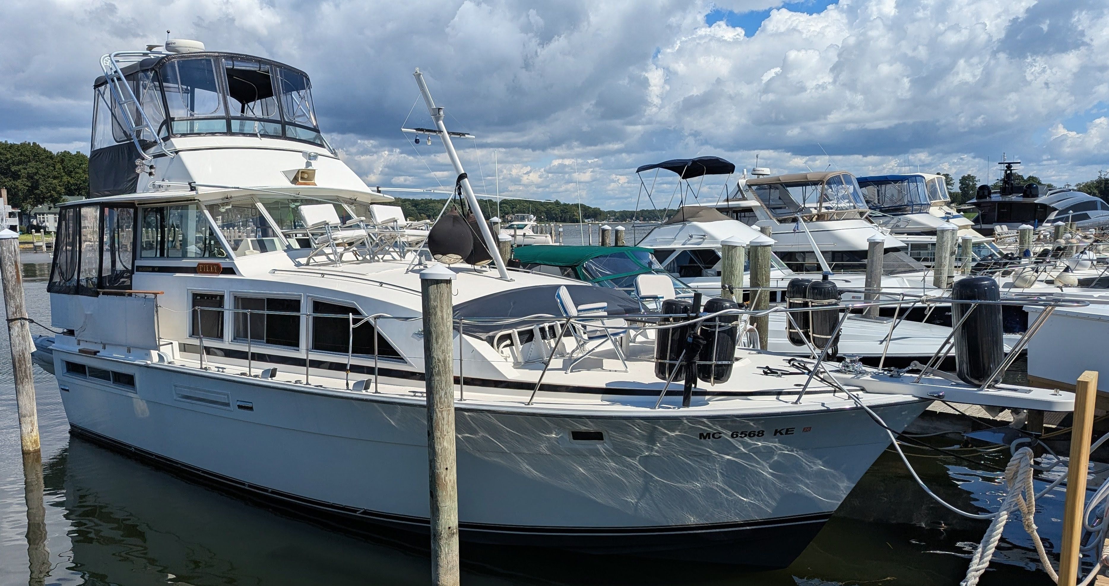 1975 Bertram 42 Motor Yacht