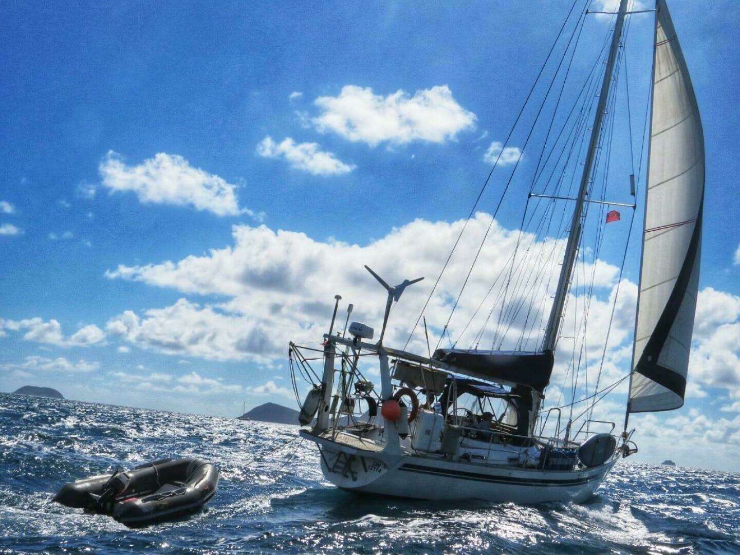 1993 Med Marine Montevideo - Image 2