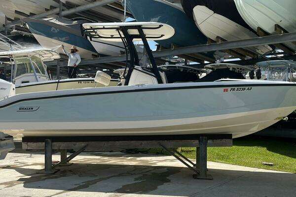 2022 Boston Whaler 250 Dauntless