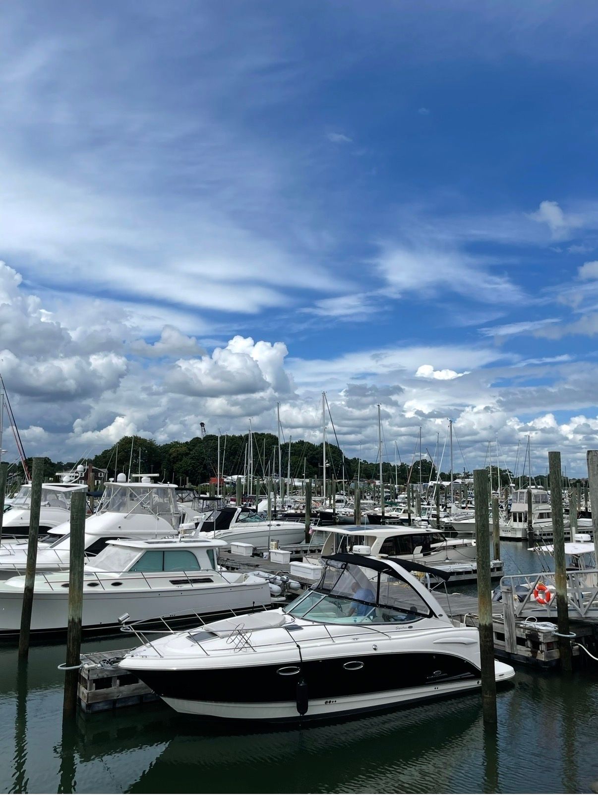 2006 Chaparral Signature 310 docked in marina under blue sky.
