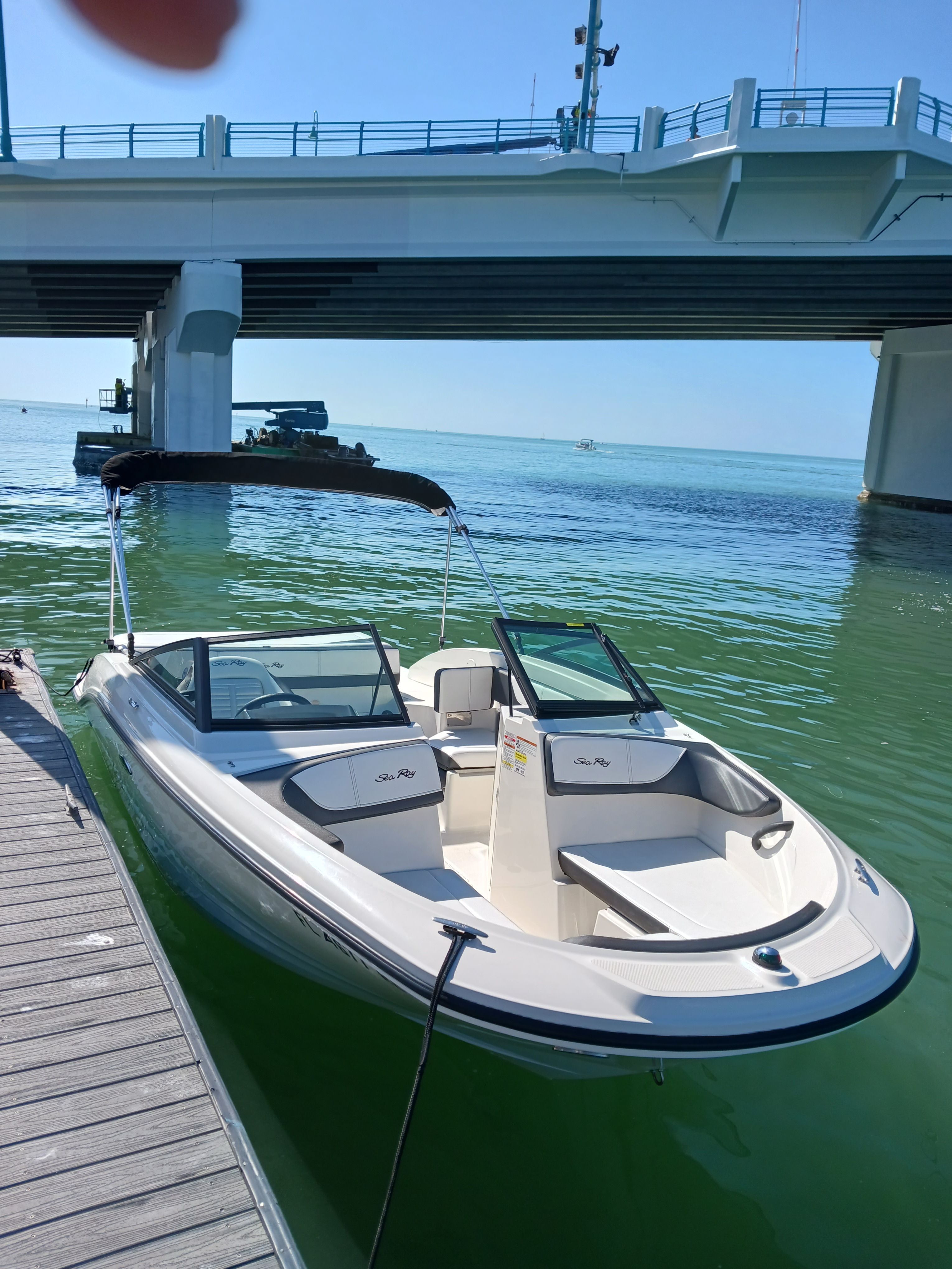 2017 Sea Ray SPX 190 - 2