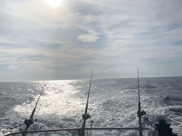1995 Farallon Whaleback - 3