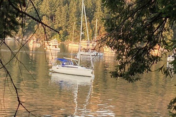 2021 Bavaria Cruiser 34