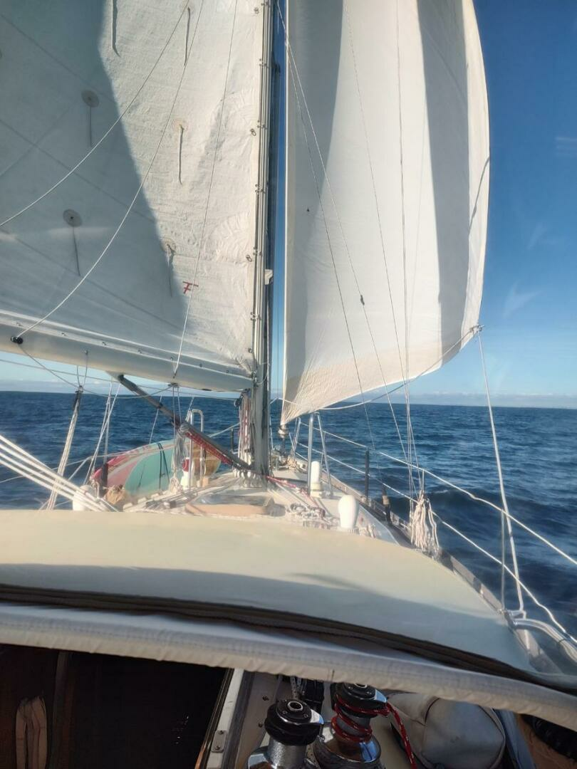 1988 Brewer Kaiulani - Image 4