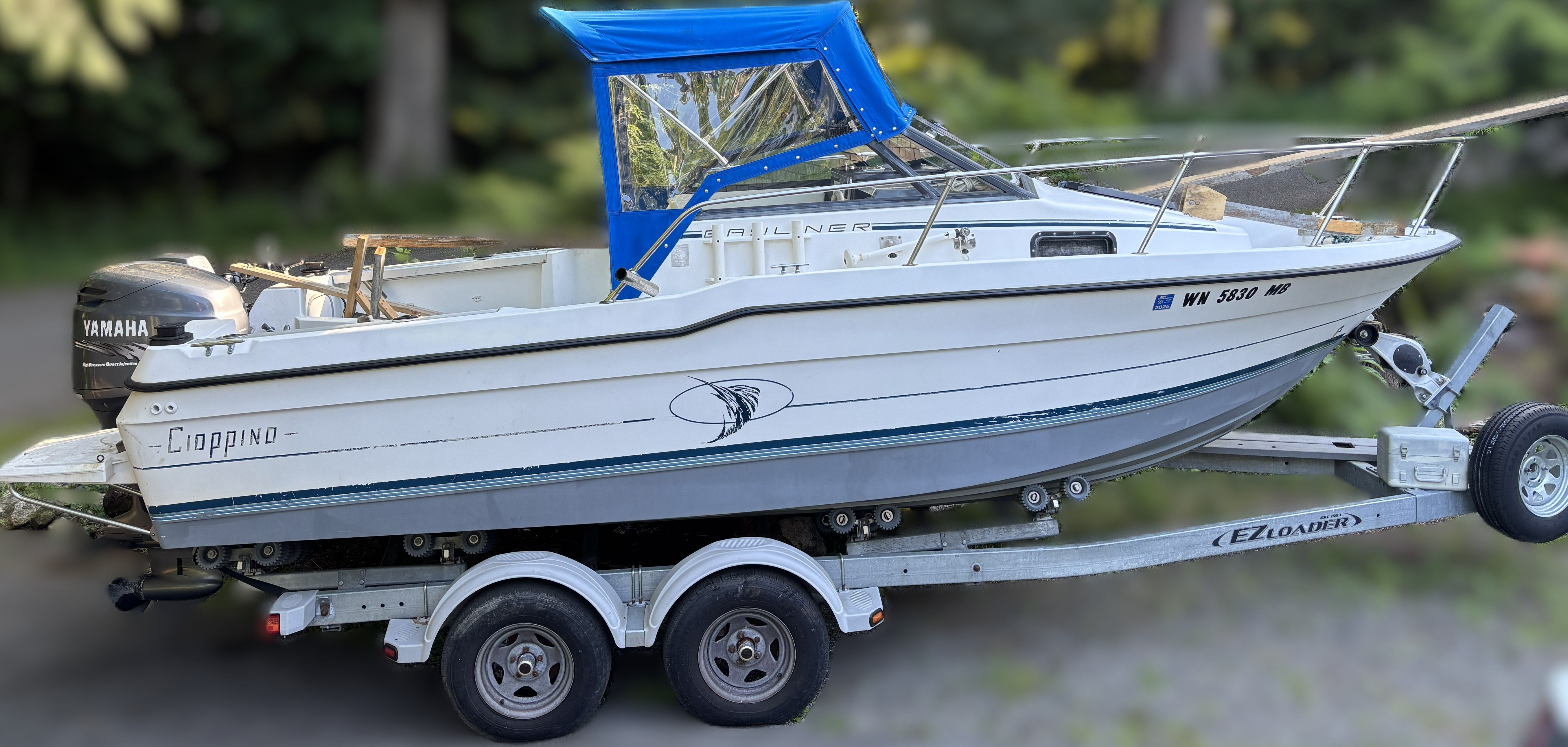 1991 Bayliner Trophy