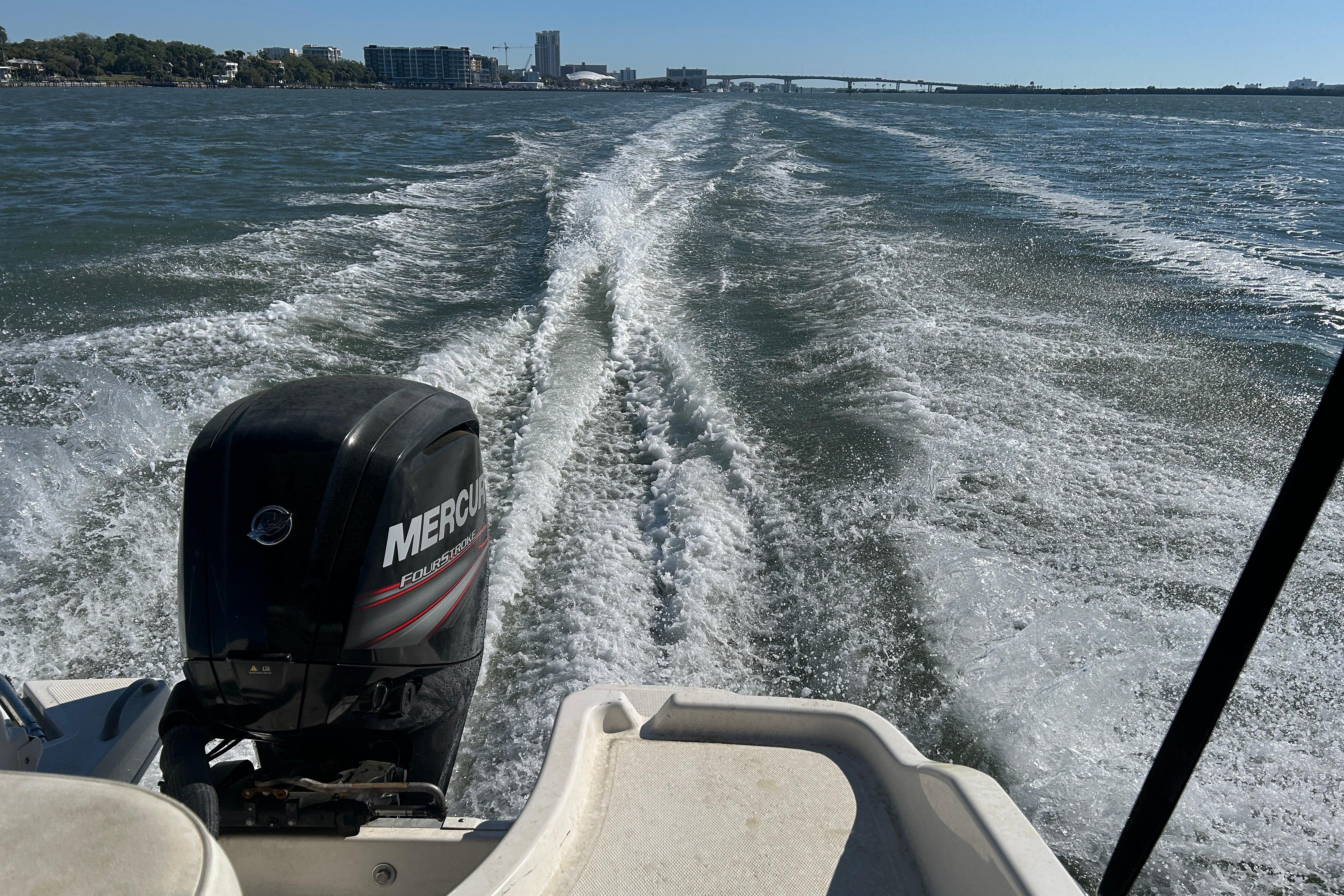 2018 Bayliner Element F16 boat cruising with Mercury outboard motor on open water.