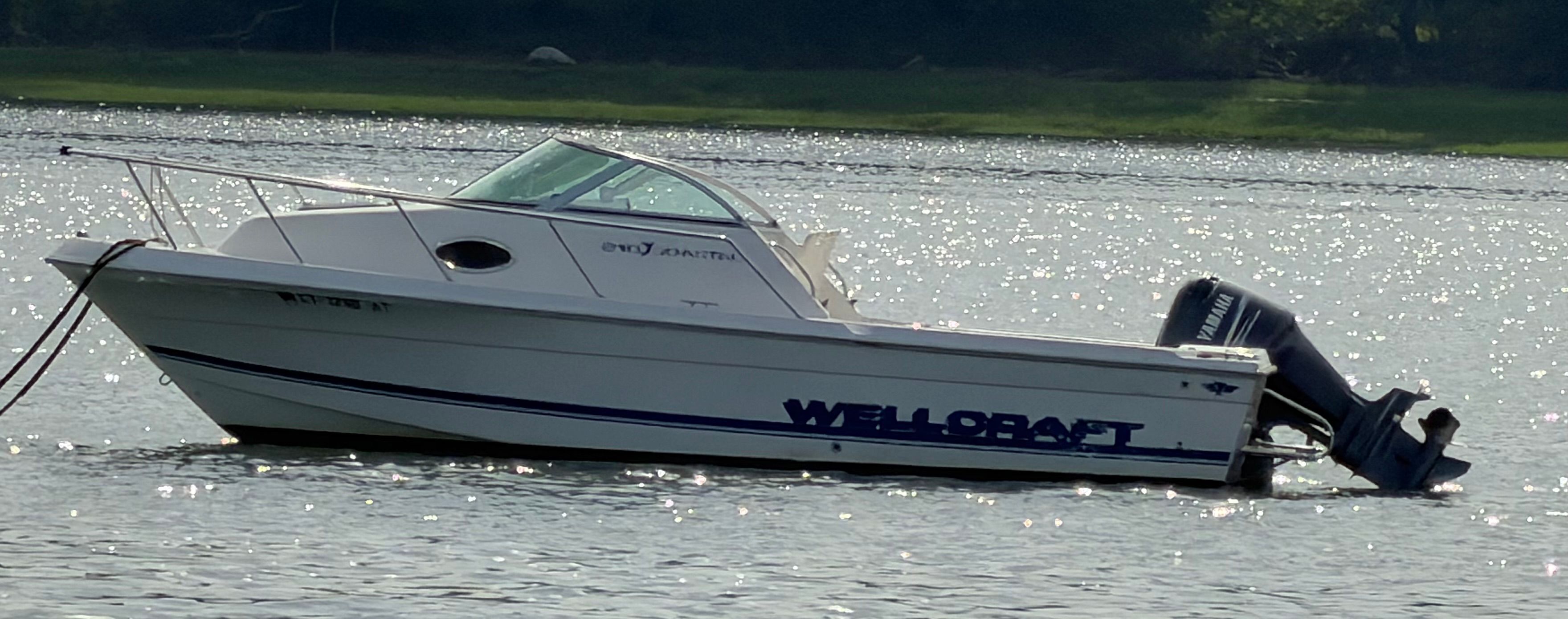 1997 Wellcraft 210 Coastal
