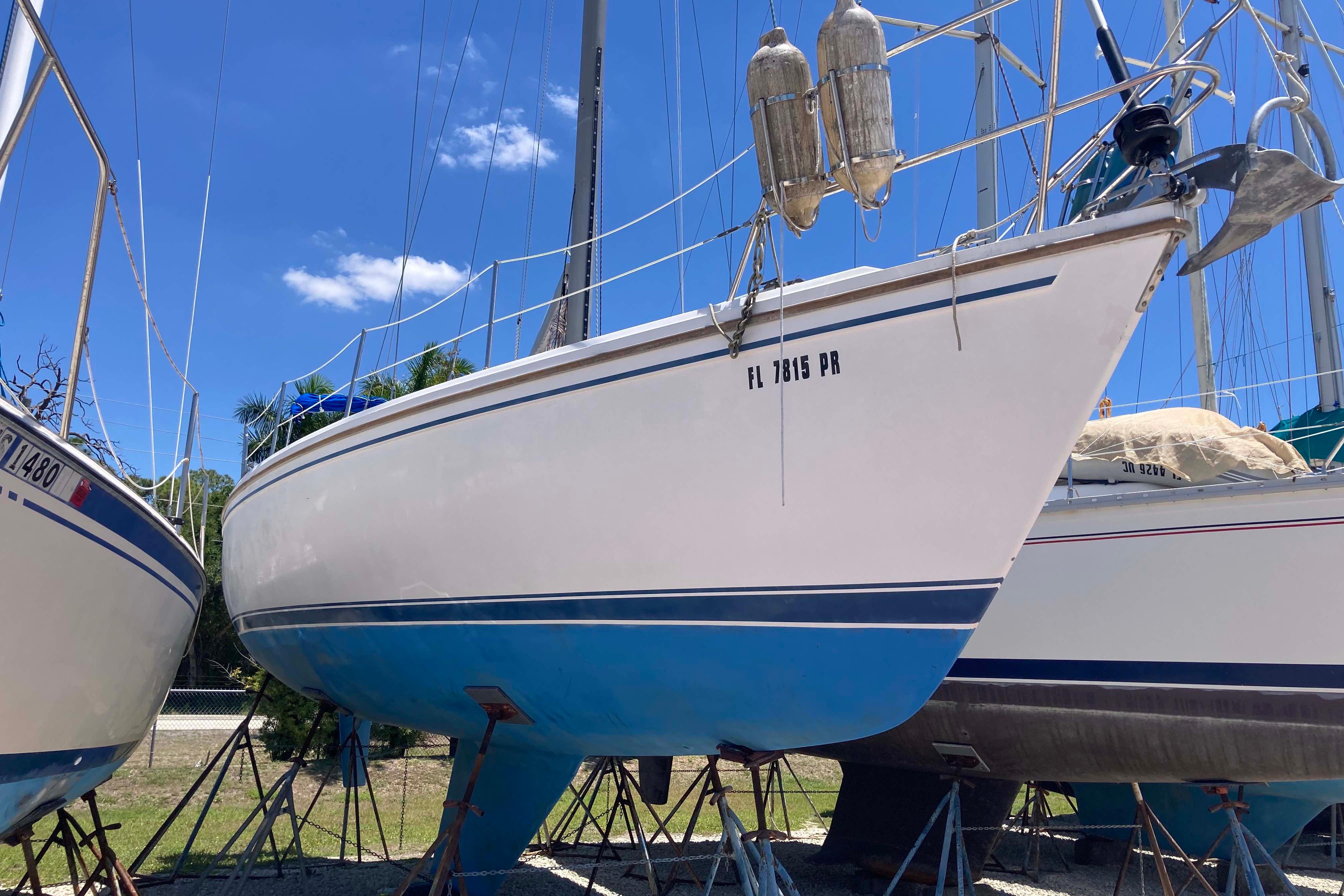 1984 Catalina 36 sailboat on stands, blue hull, sunny day, clear sky.