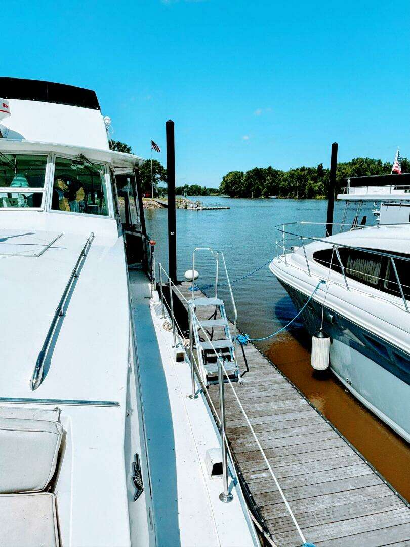 1977 Bertram 42 Motor Yacht - Image 12