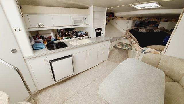 1994 Larson Cabrio 300 - 20