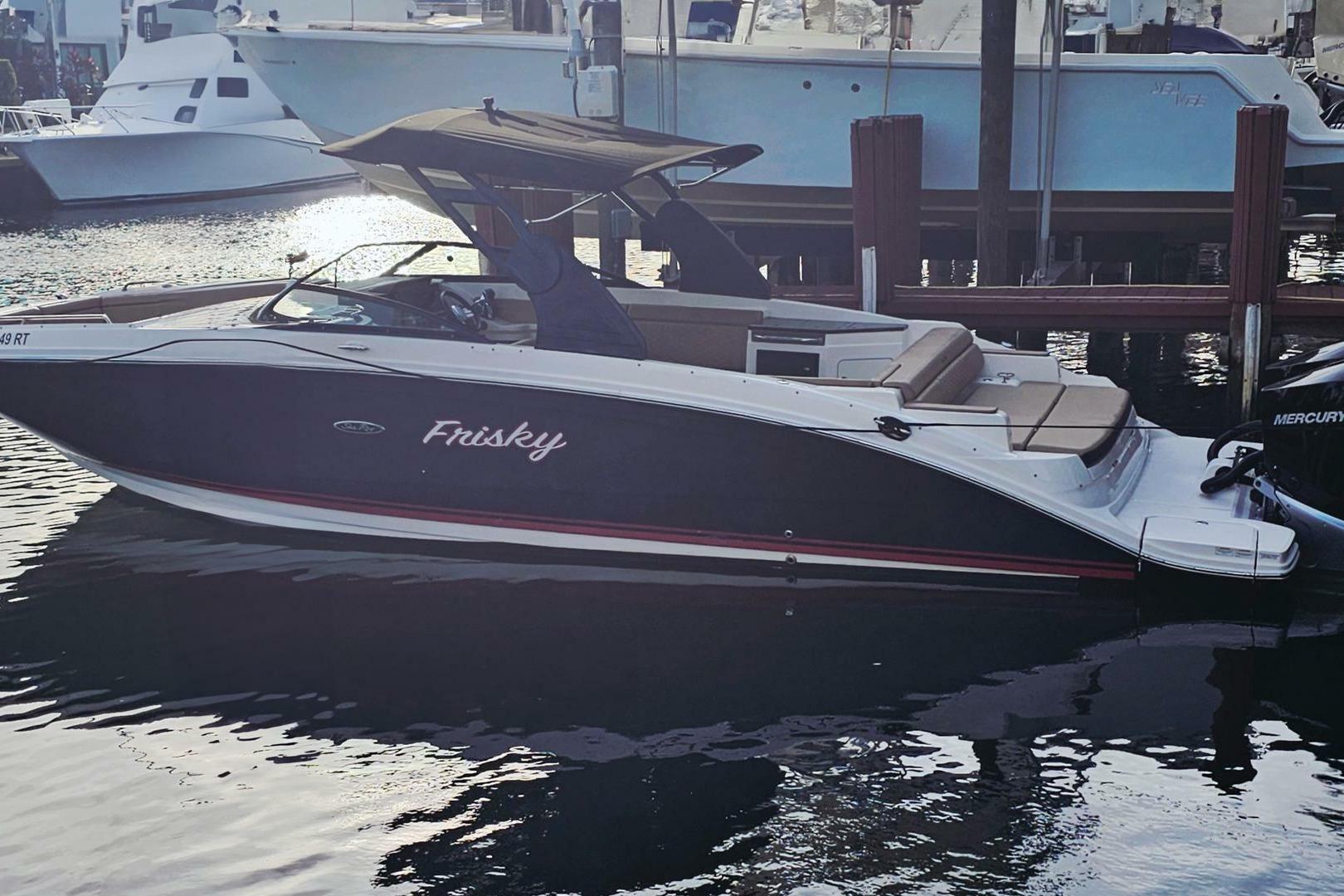 2018 Sea Ray SDX 290 Outboard