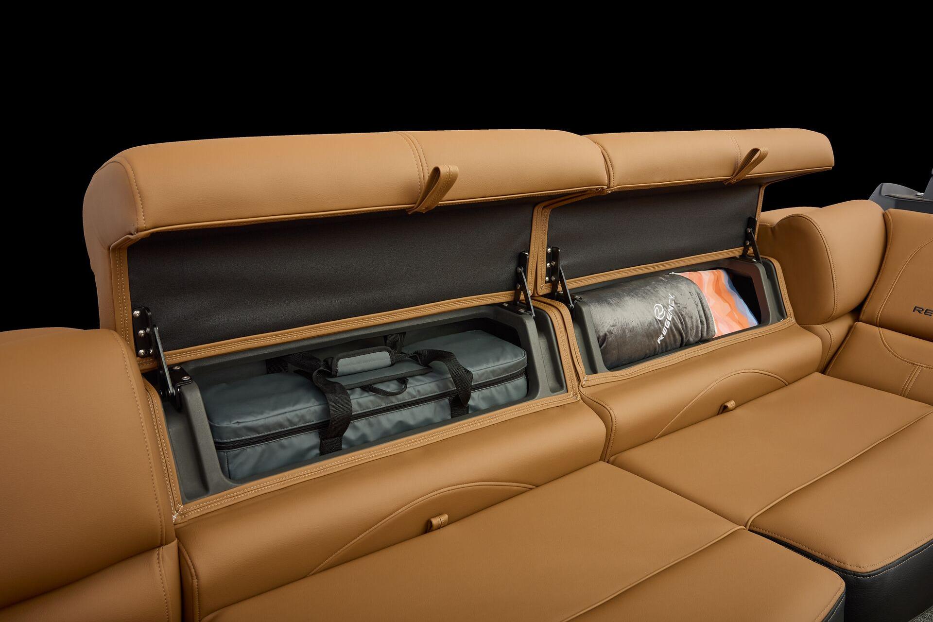 2026 Regency 250 DL - 48