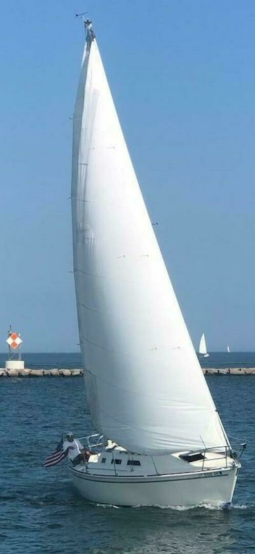 1986 Pearson Auxiliary Sloop - Image 4