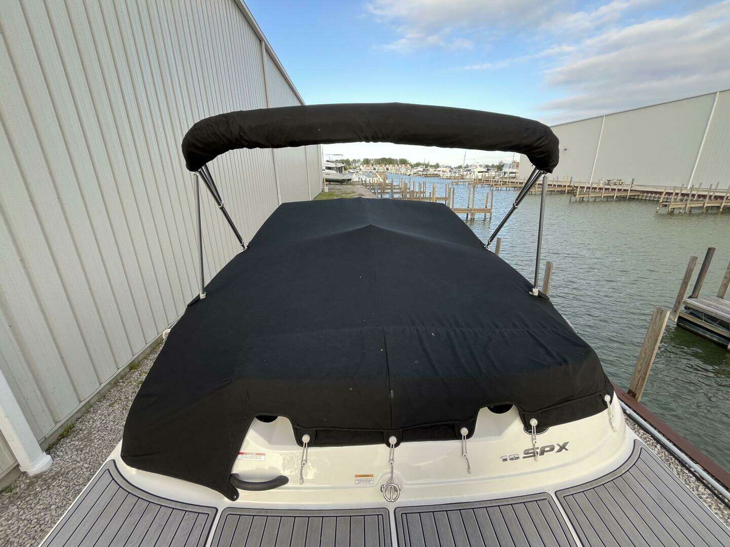 2015 Sea Ray 19 SPX - Image 5