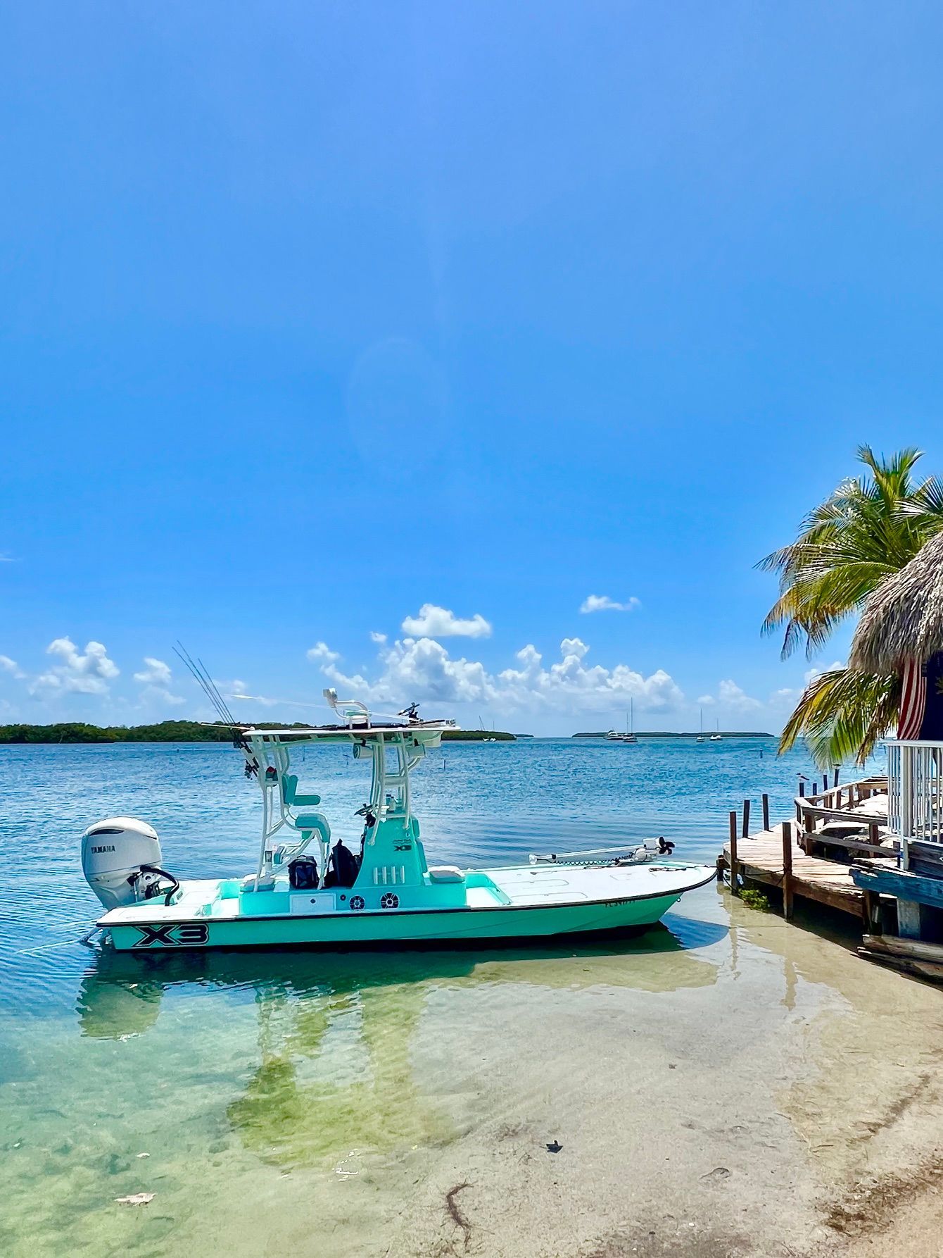 A turquoise boat is docked by the shore of a clear, sunny waterway.