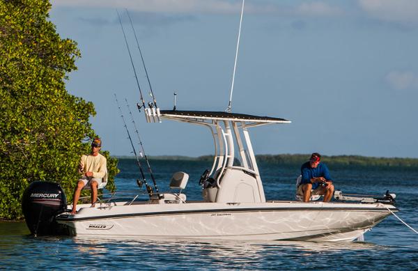 Manufacturer Provided Image: 2014 Boston Whaler 210 Dauntless boat with two people fishing on calm water.