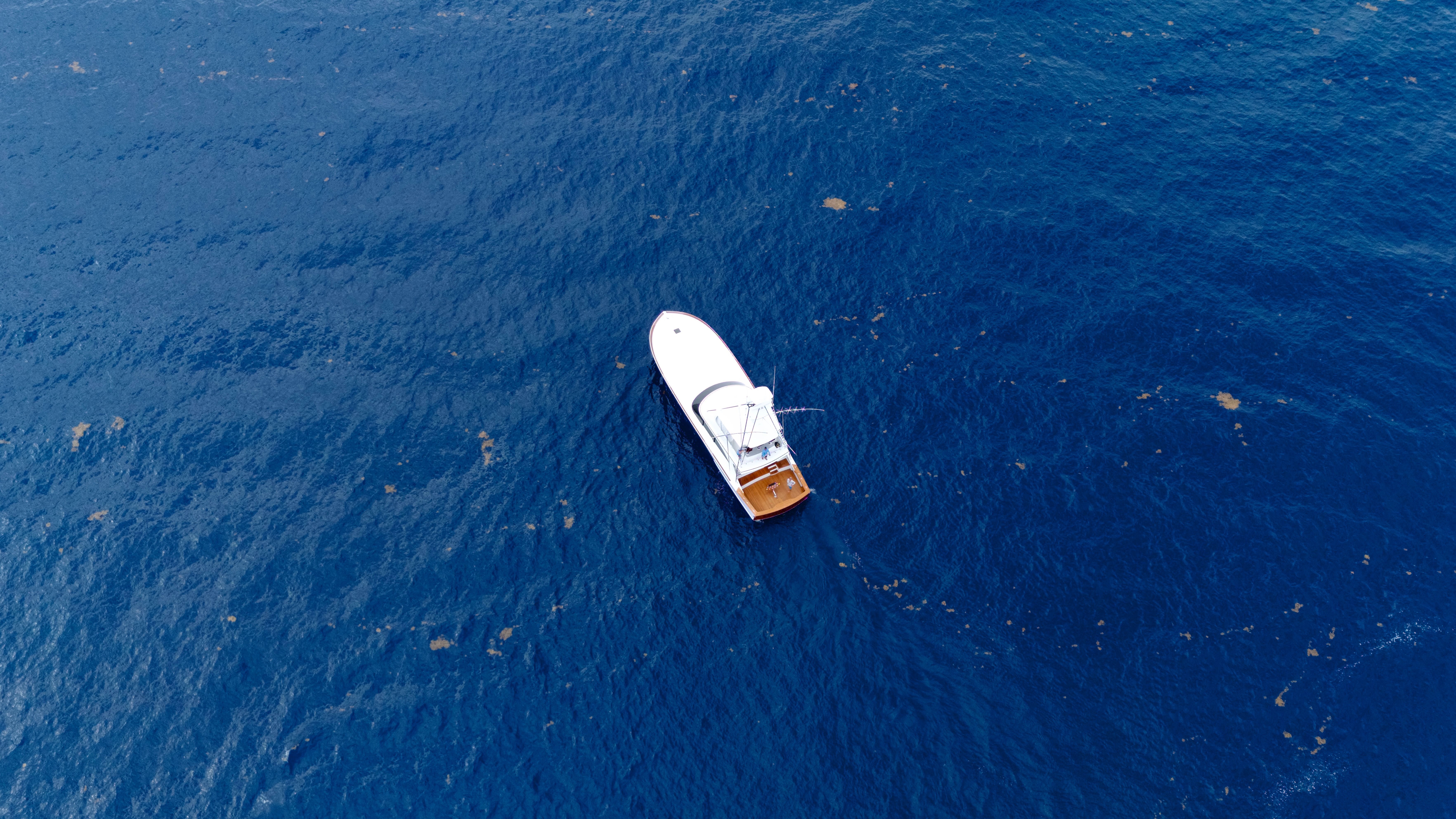 A white 2025 Titan Yachts sportfish boat on open blue water.