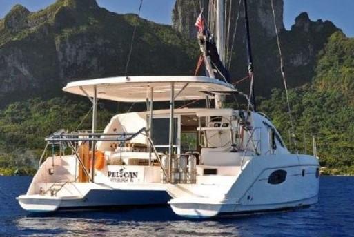 2010 Leopard 38