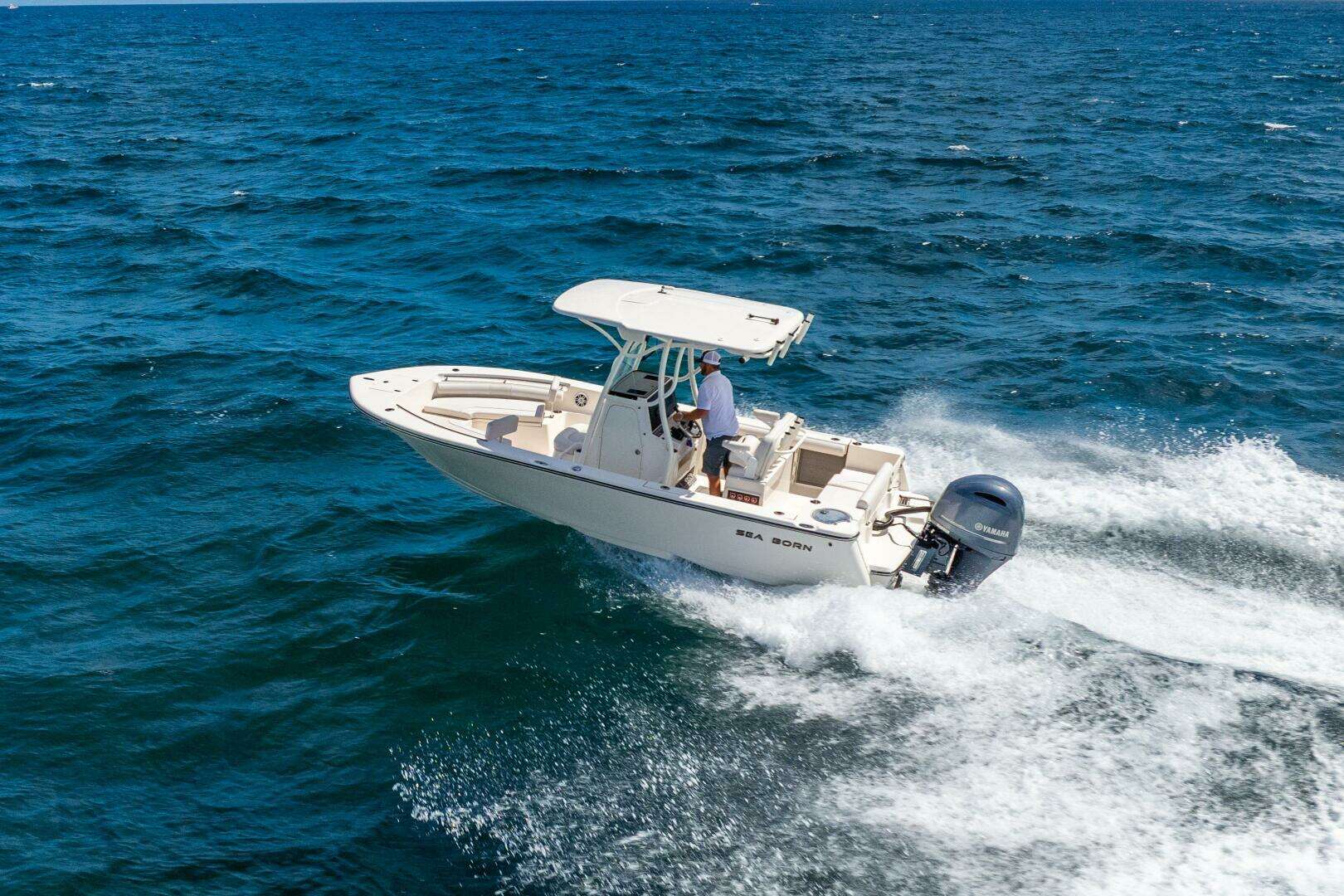 2025 Sea Born LX22 - Image 14