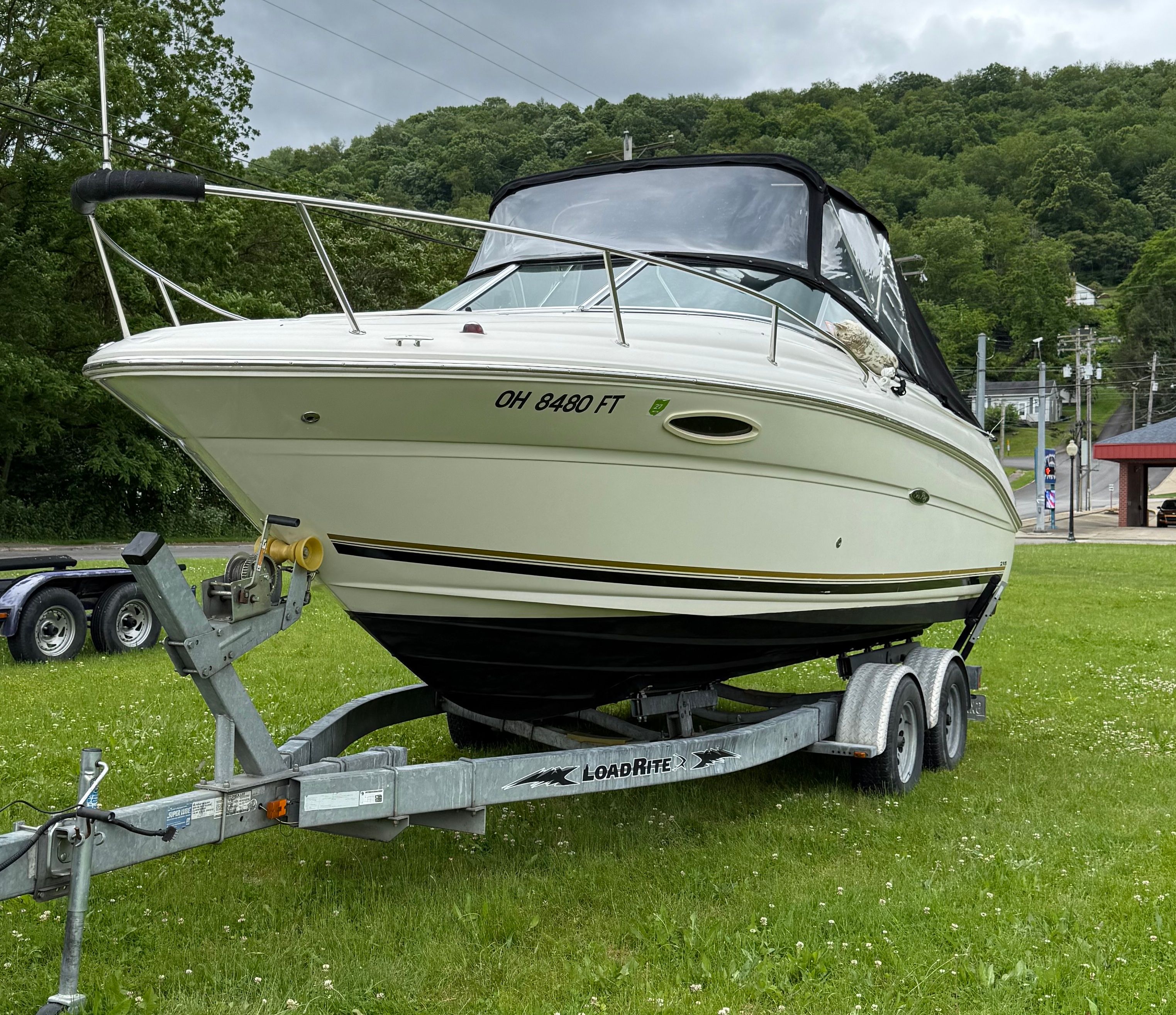 2006 Sea Ray 215 Weekender on trailer in grassy area.