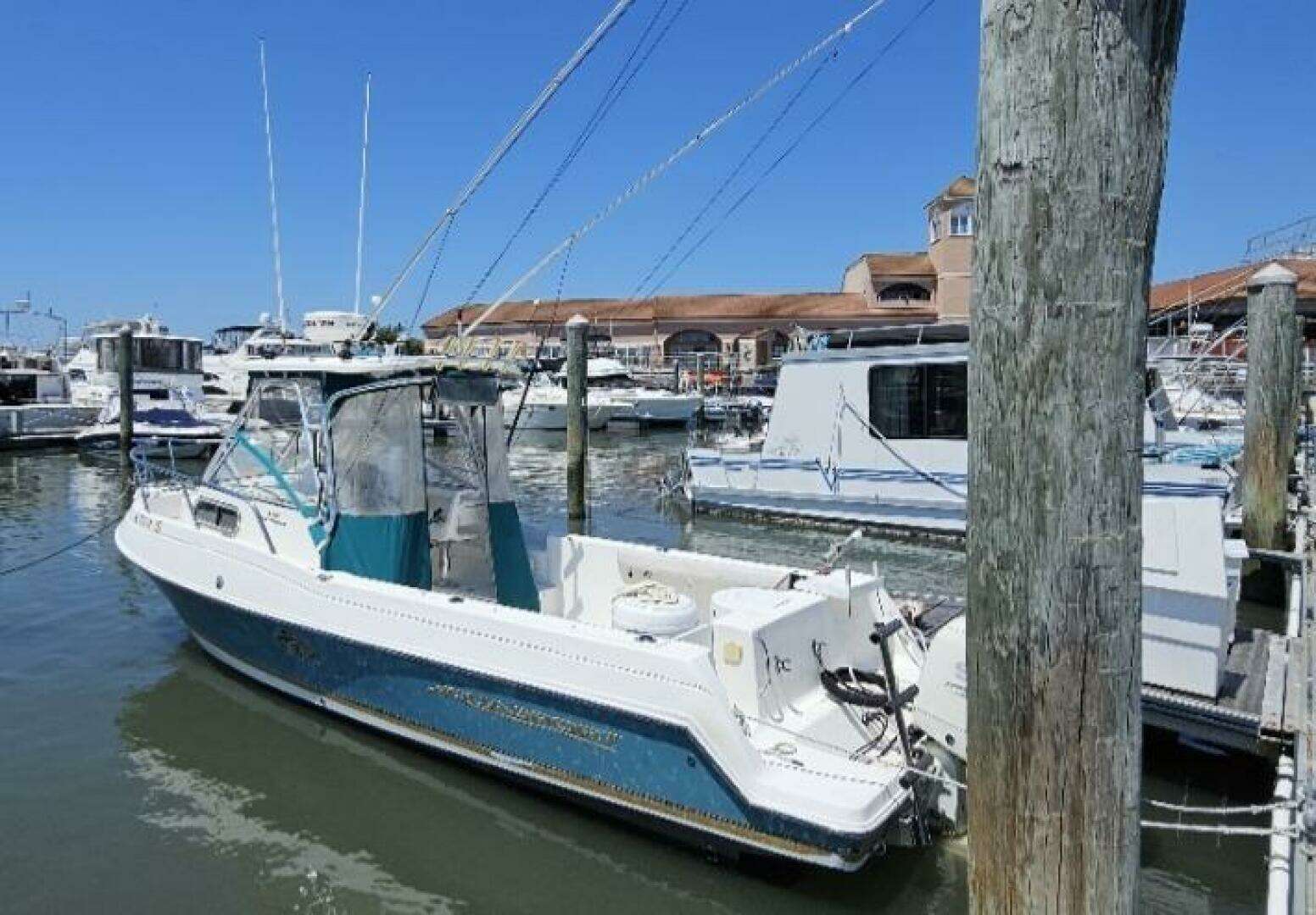 2001 Aquasport 250 Explorer - Image 5