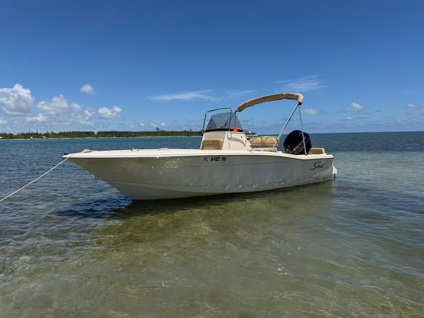 2019 Scout 195 Sportfish - Image 3