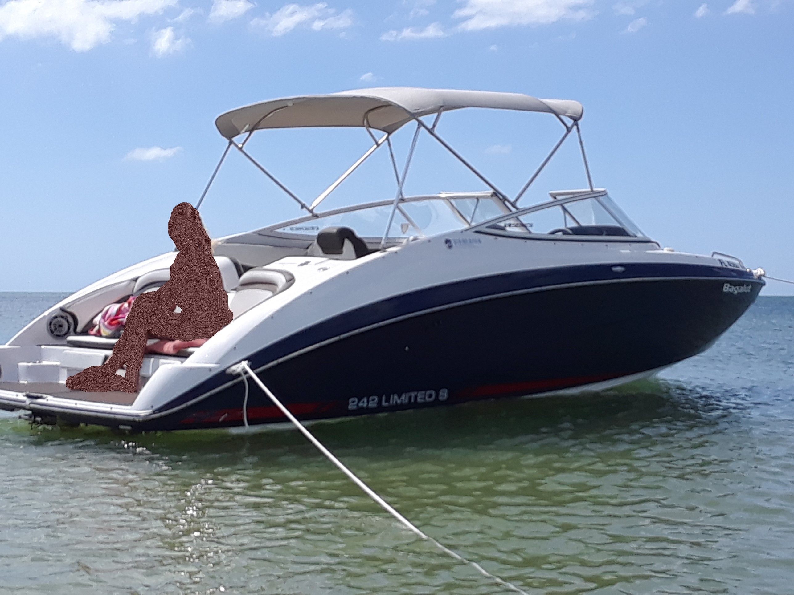 2016 Yamaha Boats 242 Limited E-Series - 3