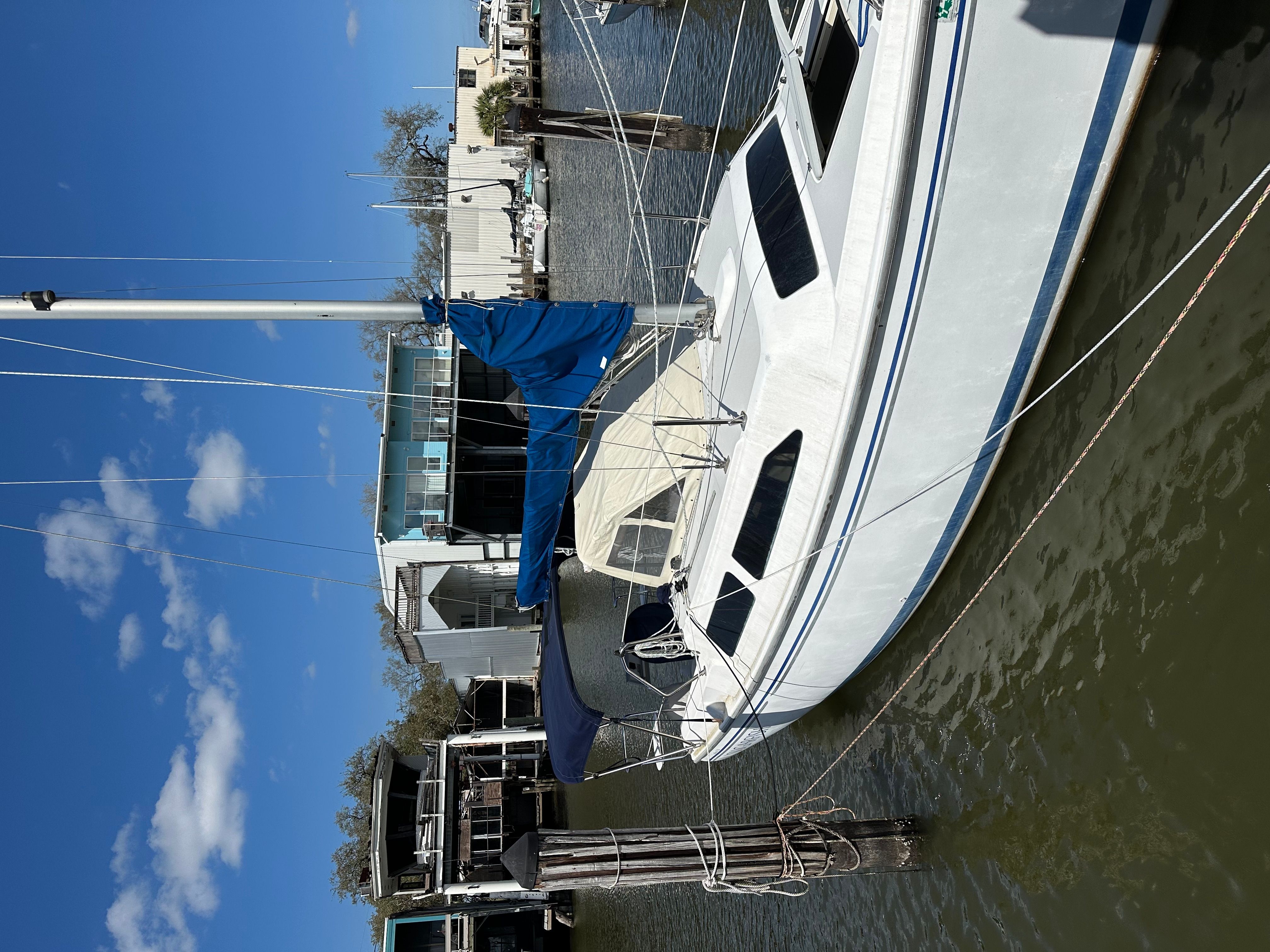 2005 Catalina C250 - 18