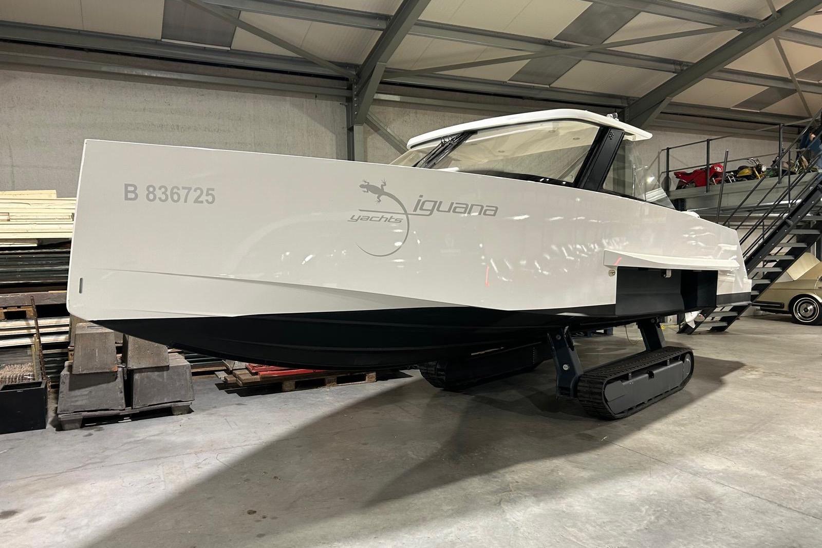 2019 Iguana 29