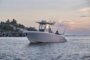 2027 Sailfish 252 CC