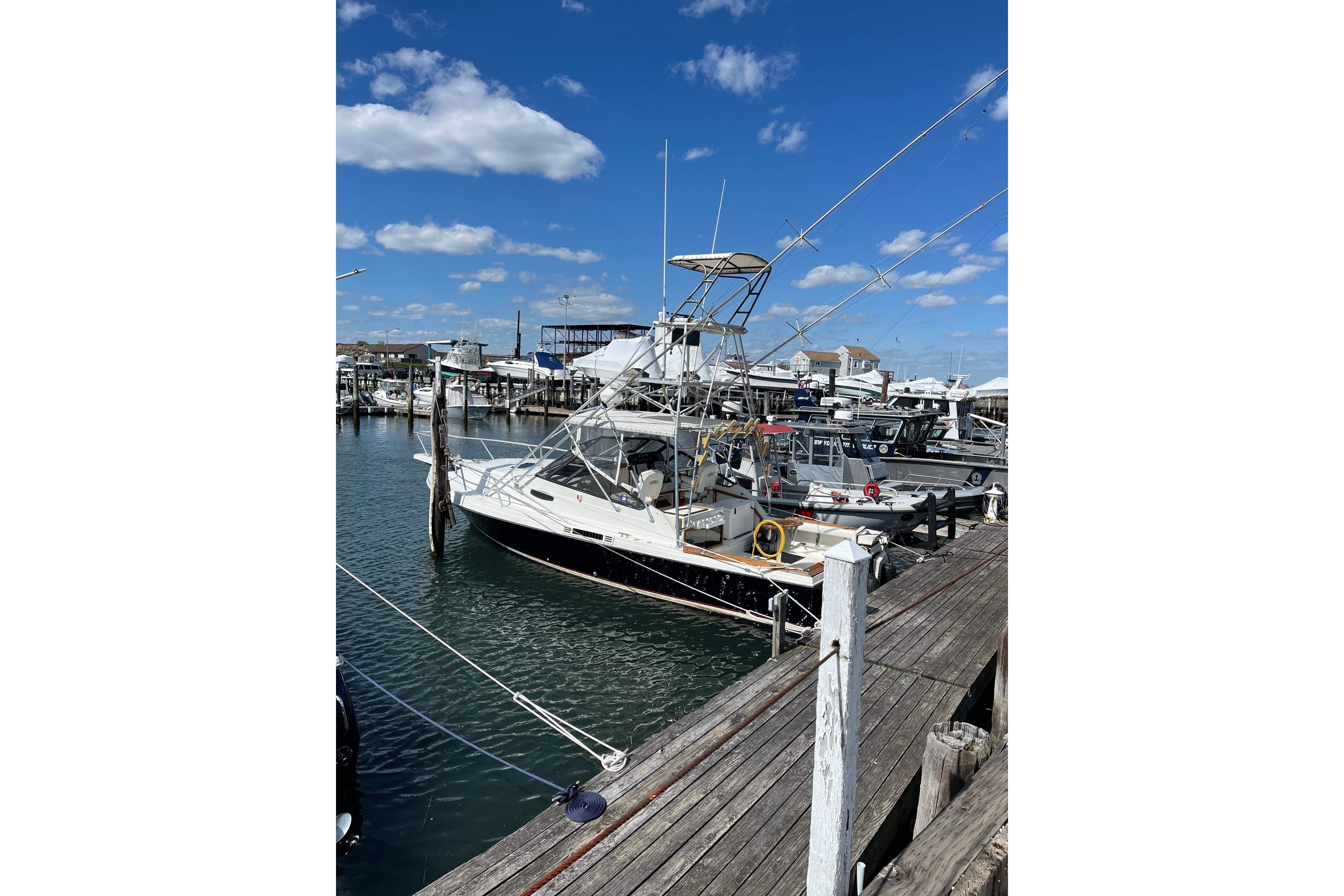 1989 Blackfin 31 Combi