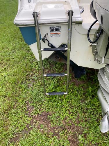 2008 Sea Fox 236WA Pro Series boat with a foldable ladder.