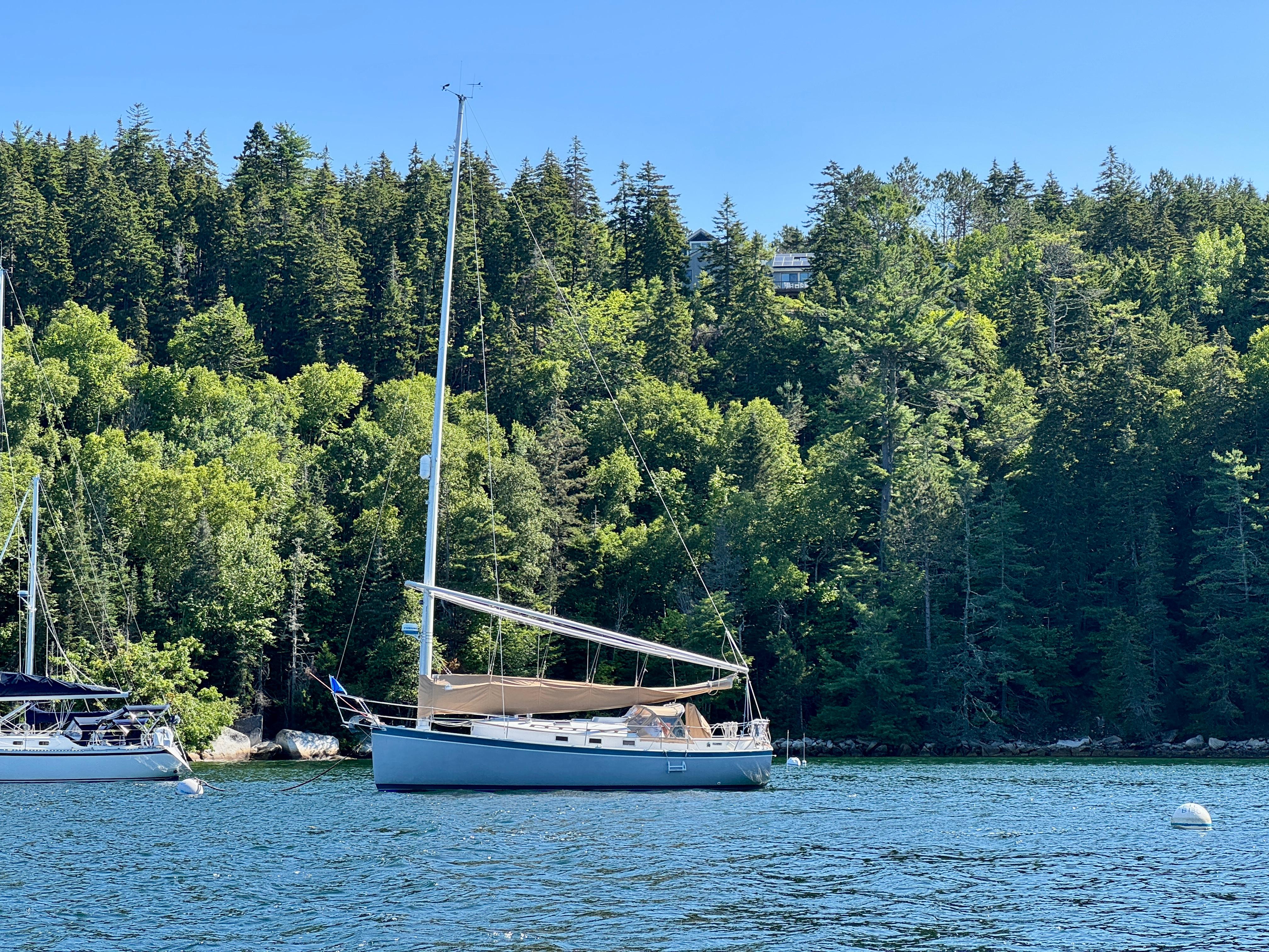 Sailboat Nonsuch 30 Ultra 1989 anchored near lush forested shoreline.