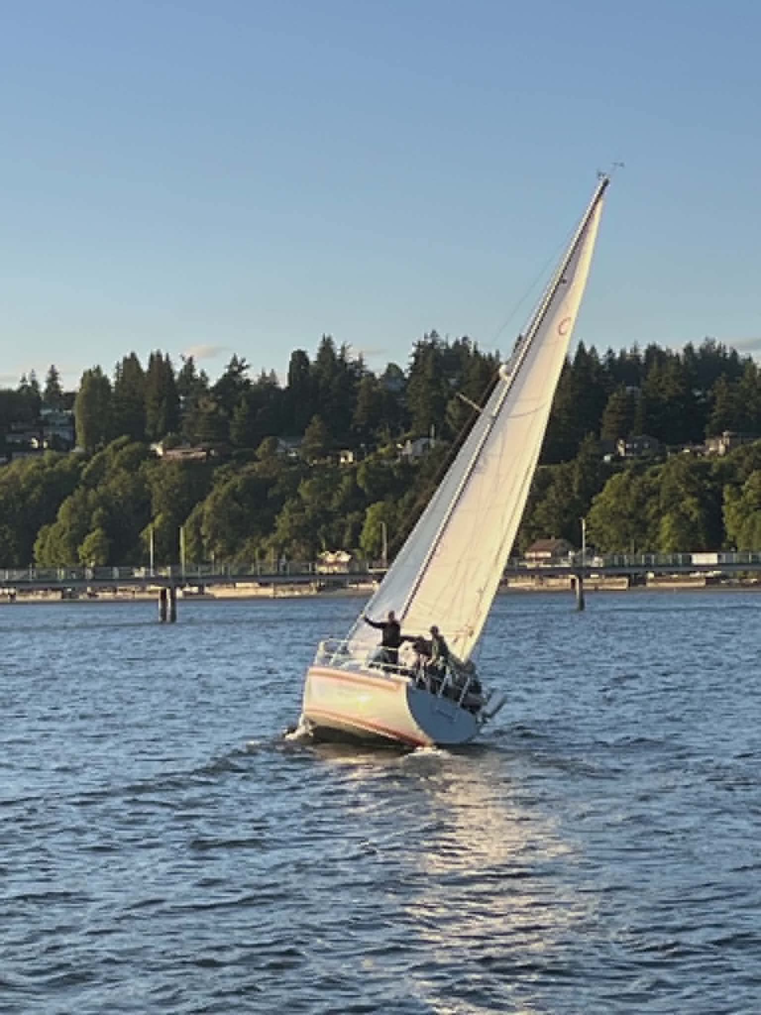 A sailboat glides on calm waters near a wooded shoreline.