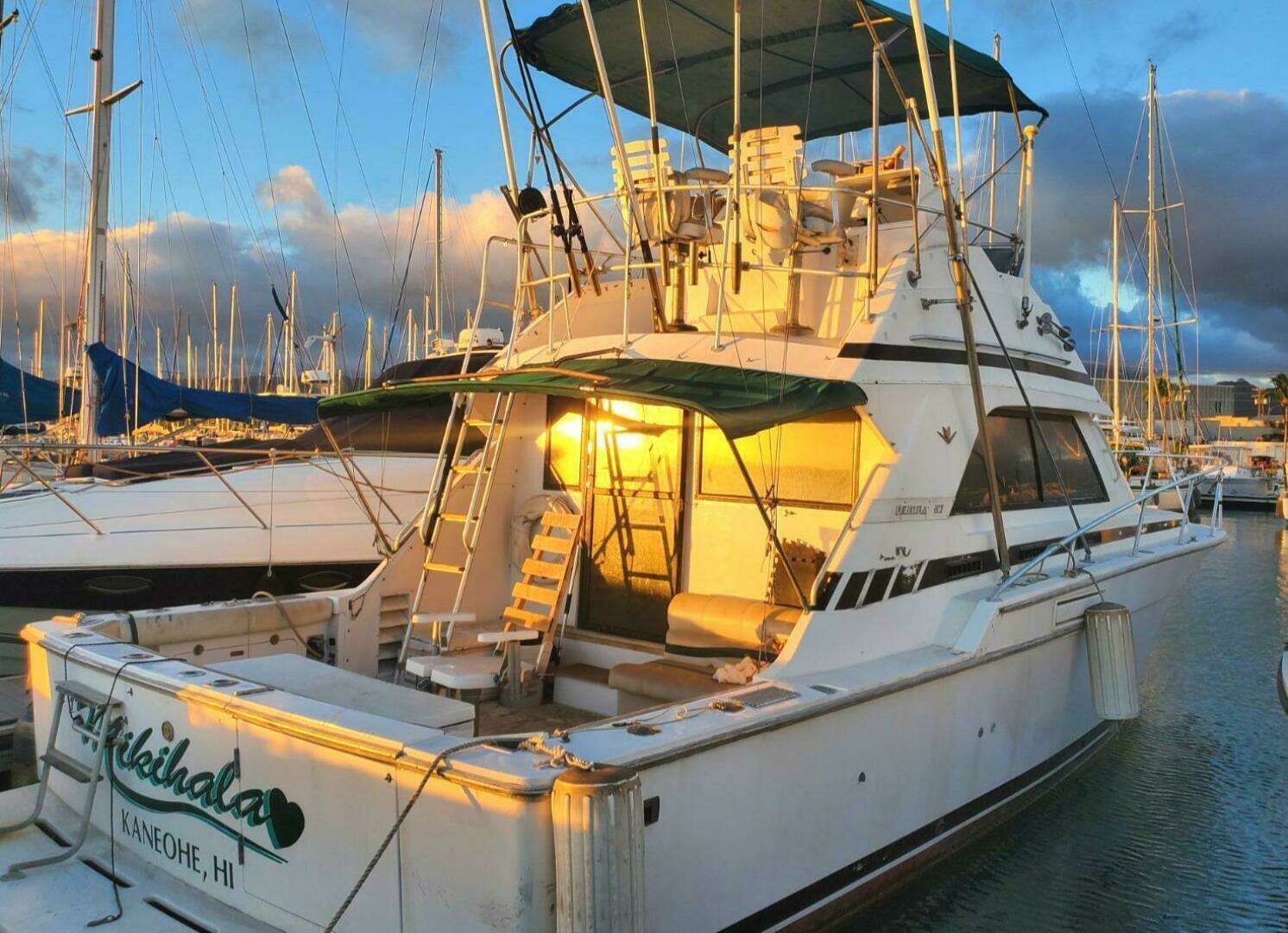 1988 Bertram 37 Convertible - Image 5