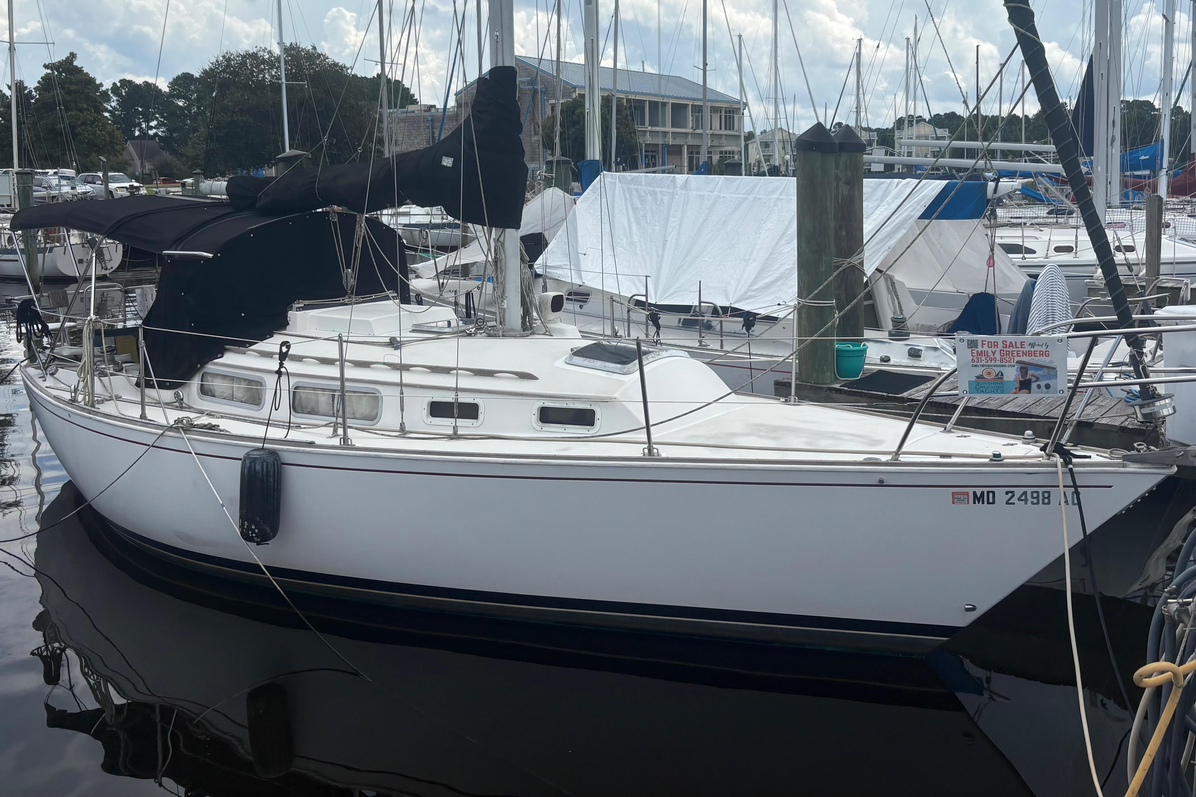 1981 Sabre 31 sailboat docked at marina, white hull, black covers, for sale sign visible.