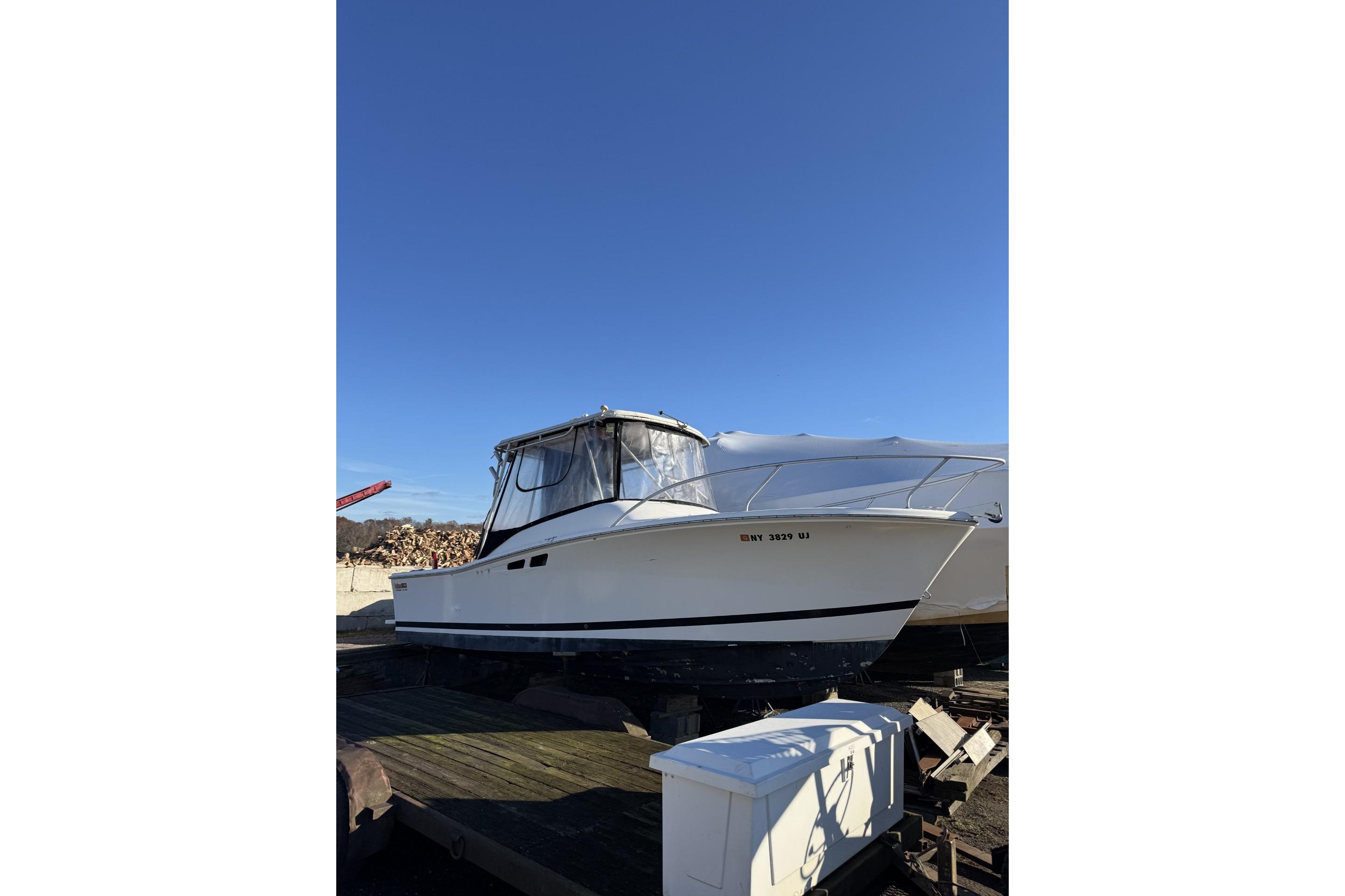 1993 Luhrs Tournament 250 Open