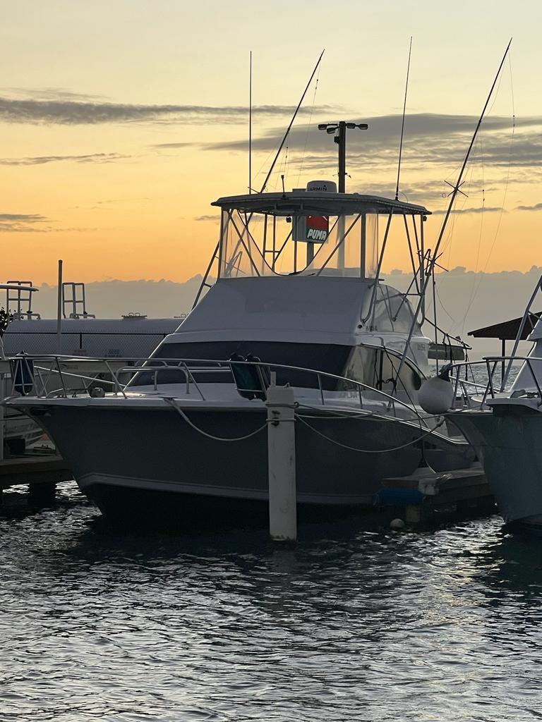 1994 Luhrs Tournament 380