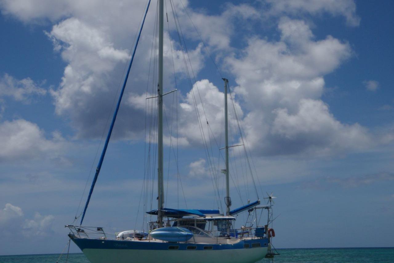1981 Wauquiez Amphitrite 43