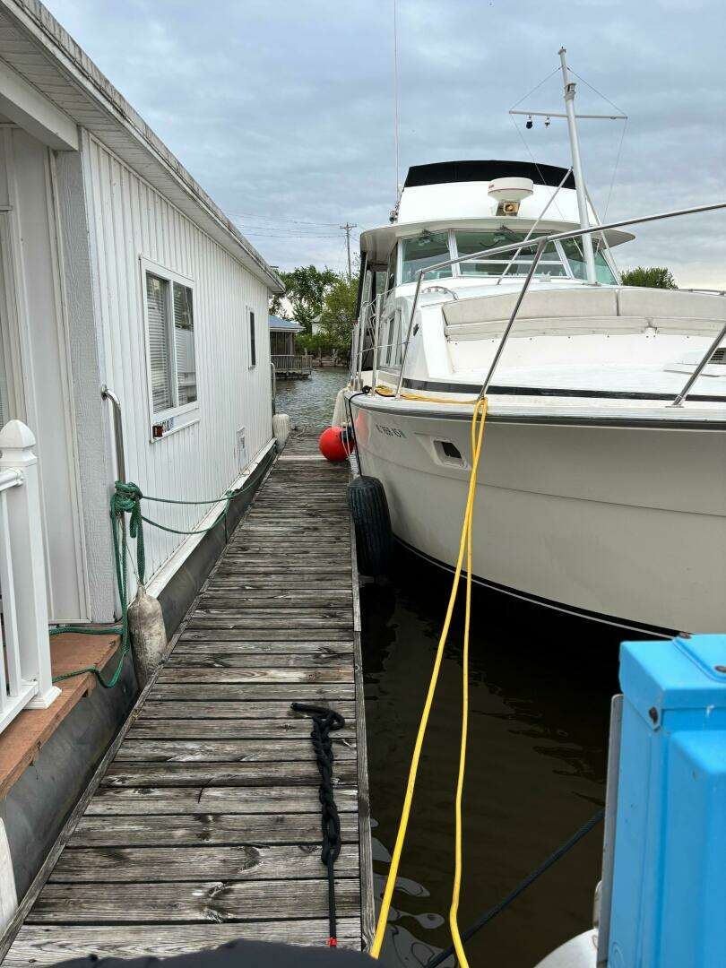1977 Bertram 42 Motor Yacht - Image 4