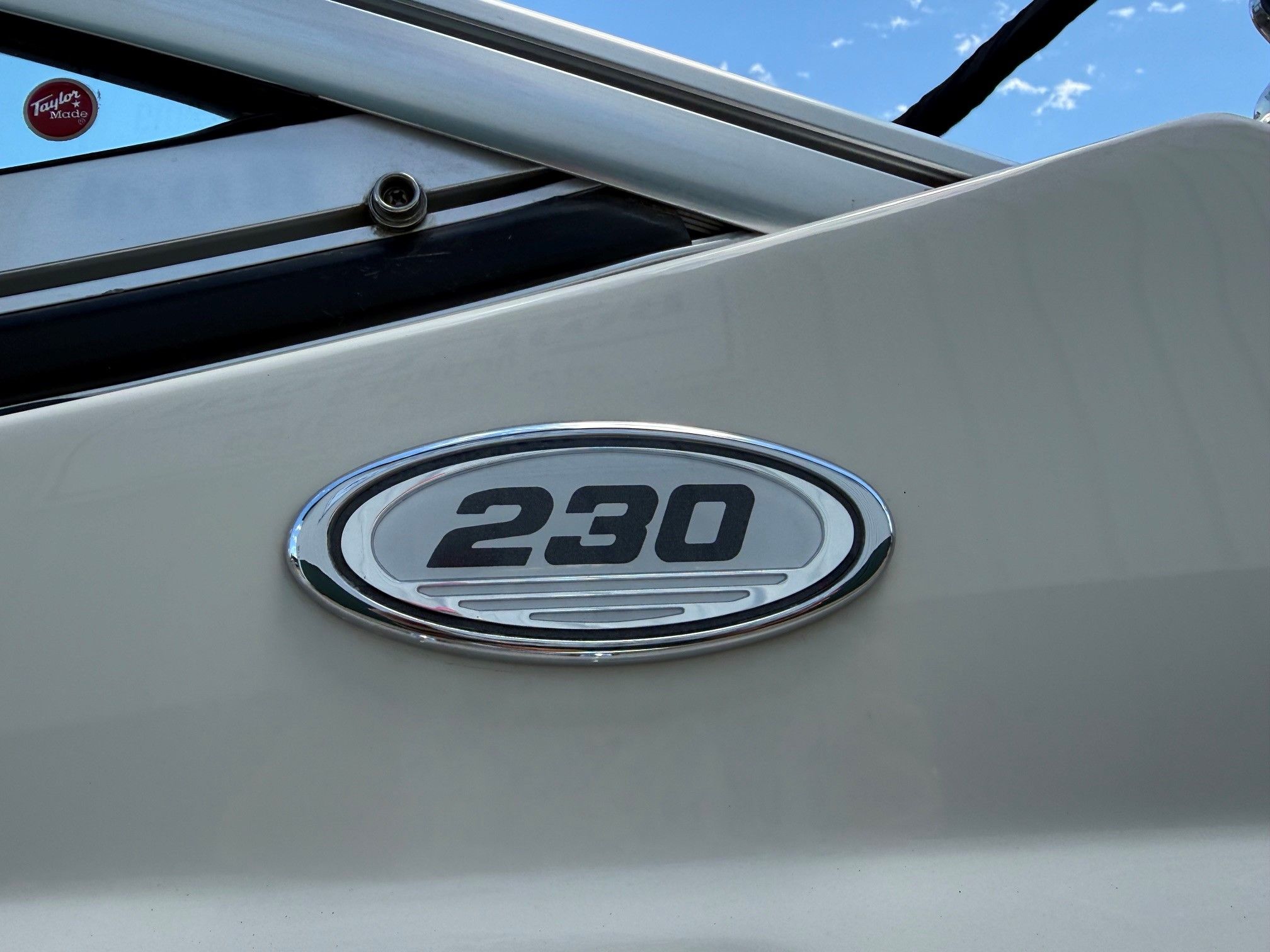 Close-up of Sea Ray 230 Select emblem, 2007 model.