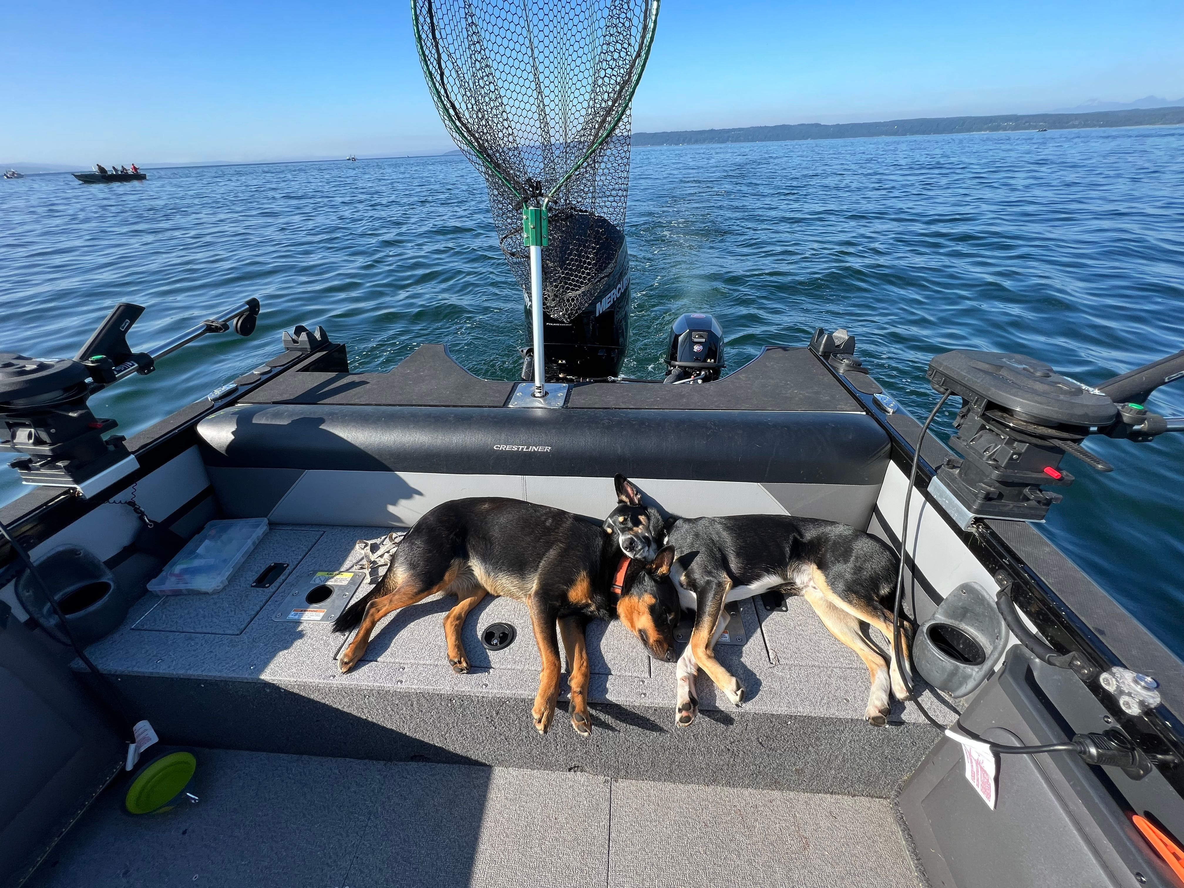 2019 Crestliner 1850 Sportfish OB - 21