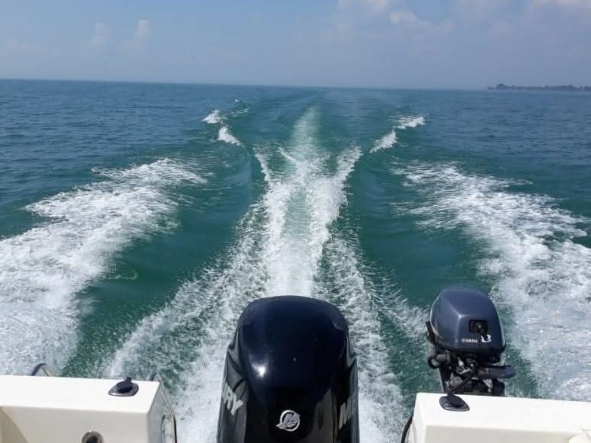 2009 Bayliner Trophy Pro - 11