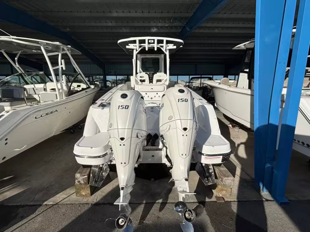 2026 Stingray 253 CC - 4