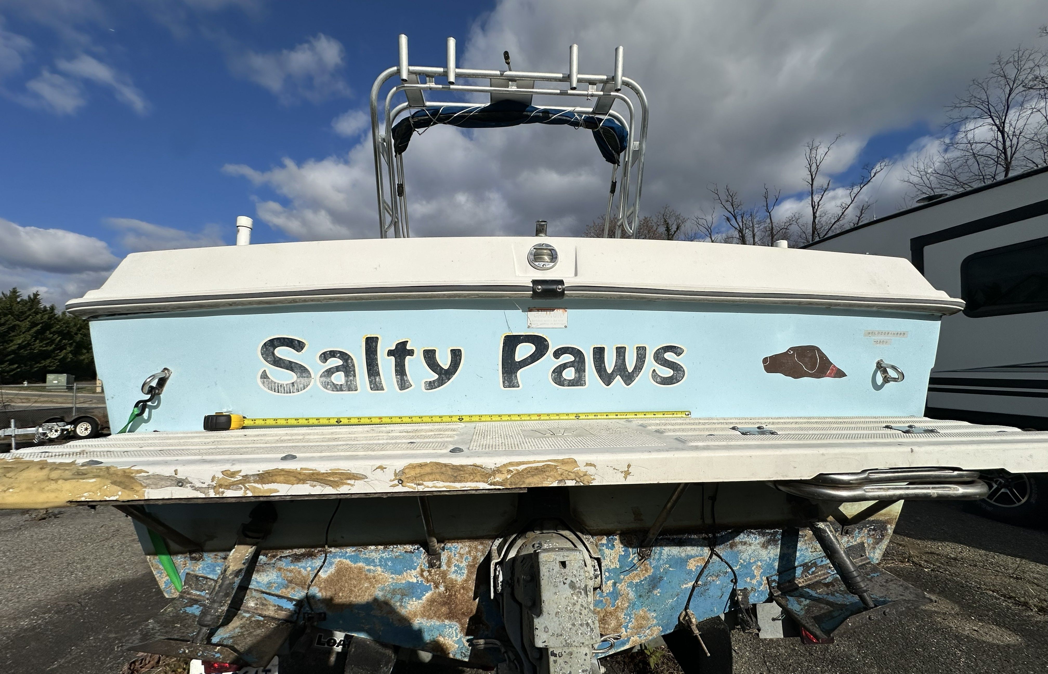 The image shows the stern of a 1989 Wellcraft 250 Sportsman boat named "Salty Paws."