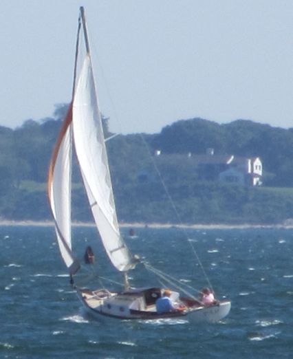 A sailboat with white sails is sailing on the water, with the coastline visible in the background.