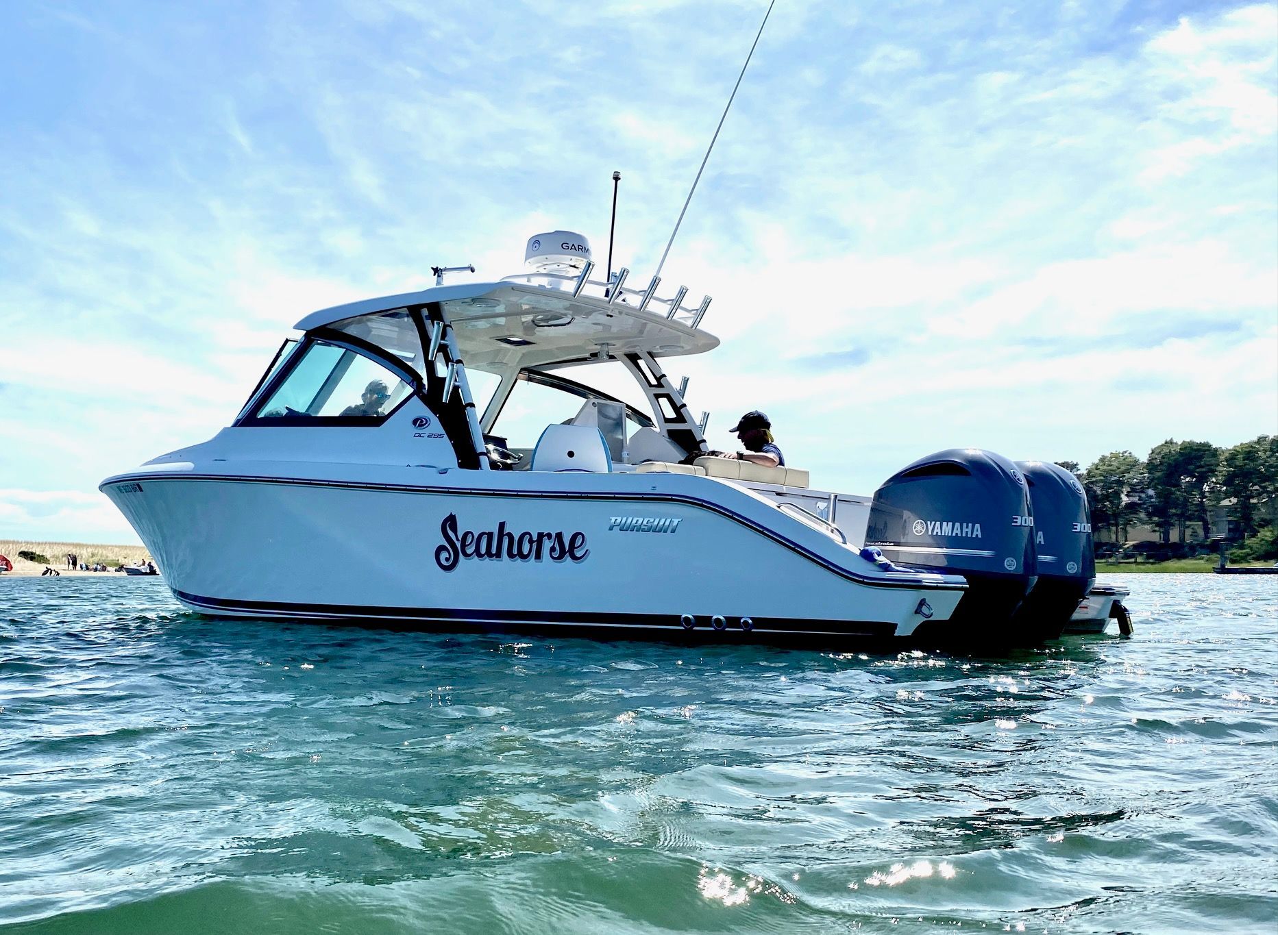 2017 Pursuit DC 295 Dual Console