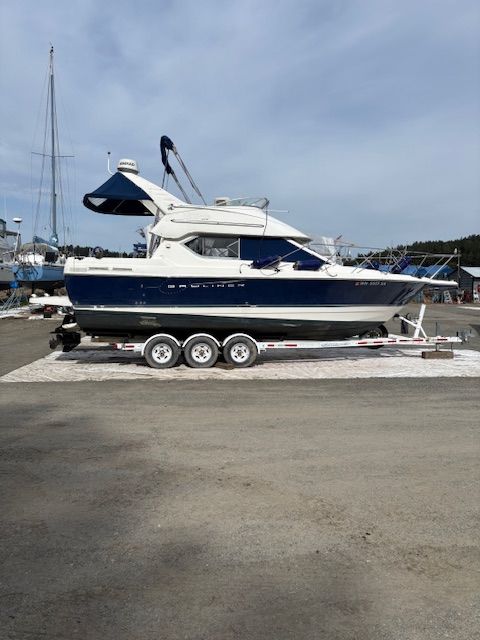 2008 Bayliner Discovery